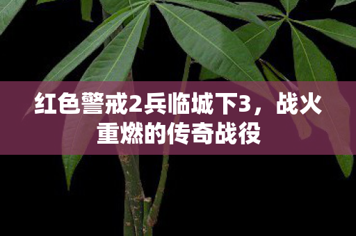 红色警戒2兵临城下3，战火重燃的传奇战役