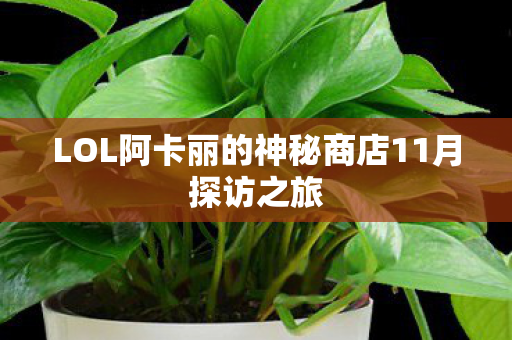 LOL阿卡丽的神秘商店11月探访之旅