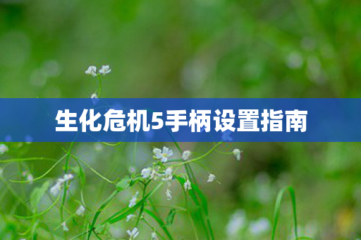 生化危机5手柄设置指南