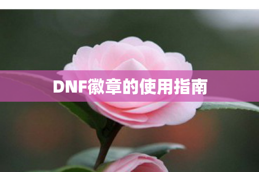 DNF徽章的使用指南