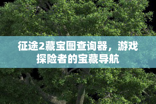 征途2藏宝图查询器，游戏探险者的宝藏导航