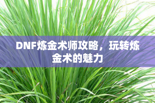 DNF炼金术师攻略,玩转炼金术的魅力 DNF炼金术师攻略,玩转炼金术的魅力