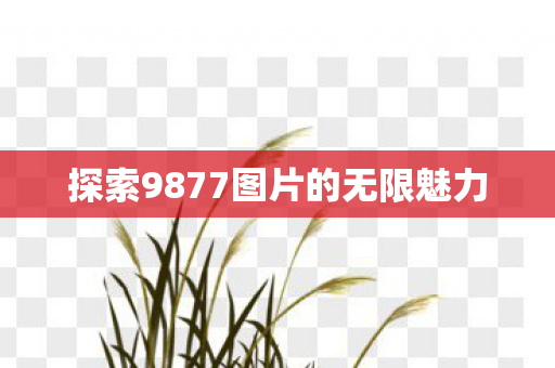 探索9877图片的无限魅力