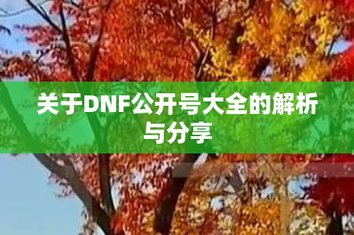 关于DNF公开号大全的解析与分享