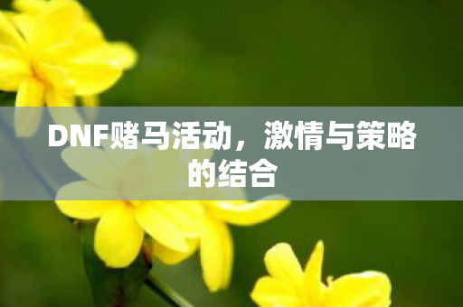 DNF赌马活动,激情与策略的结合 DNF赌马活动,激情与策略的结合
