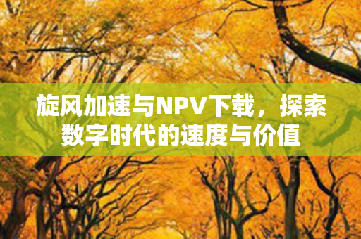 旋风加速与NPV下载,探索数字时代的速度与价值 旋风加速与NPV下载,探索数字时代的速度与价值