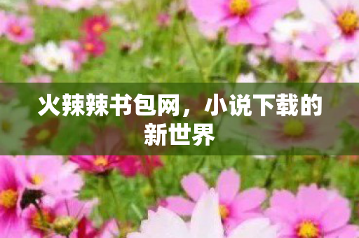 火辣辣书包网，小说下载的新世界