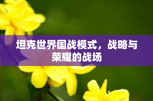 坦克世界国战模式，战略与荣耀的战场