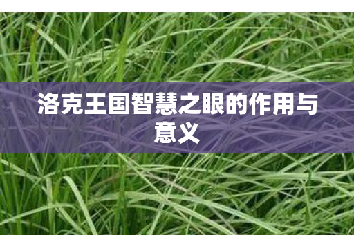 洛克王国智慧之眼的作用与意义