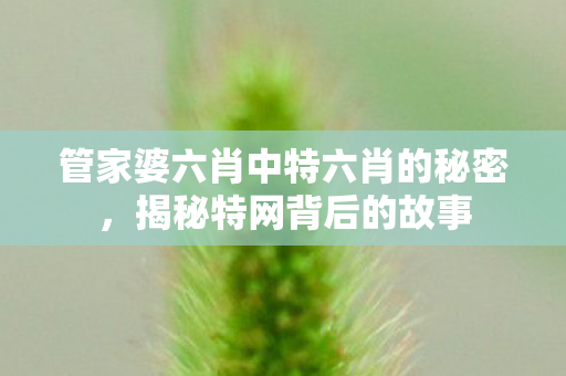 管家婆六肖中特六肖的秘密，揭秘特网背后的故事