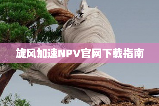 旋风加速NPV官网下载指南