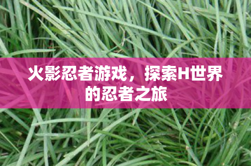 火影忍者游戏,探索H世界的忍者之旅 火影忍者游戏,探索H世界的忍者之旅