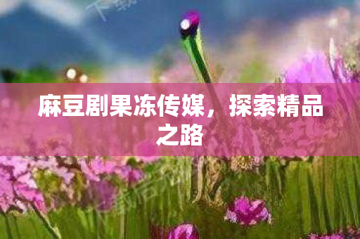 麻豆剧果冻传媒，探索精品之路