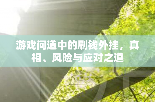 游戏问道中的刷钱外挂，真相、风险与应对之道