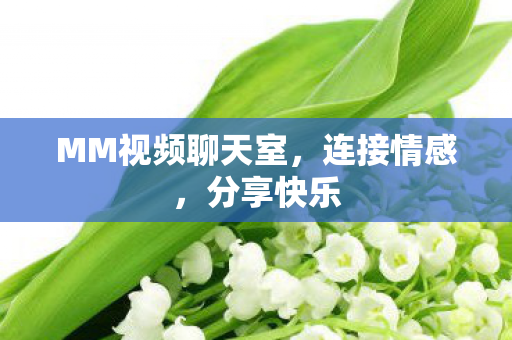 MM视频聊天室，连接情感，分享快乐