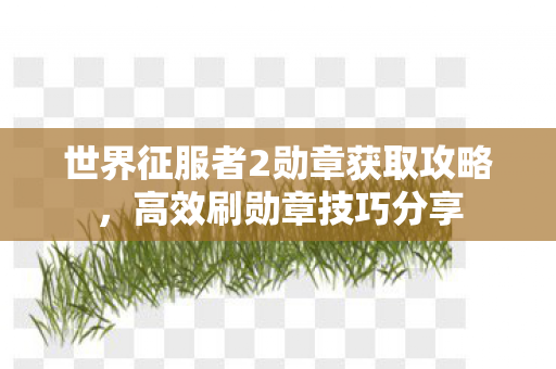 世界征服者2勋章获取攻略，高效刷勋章技巧分享