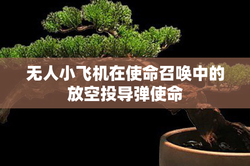 无人小飞机在使命召唤中的放空投导弹使命