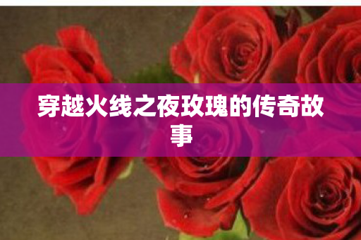 穿越火线之夜玫瑰的传奇故事