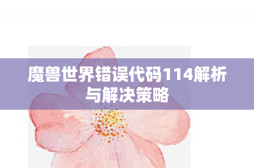 魔兽世界错误代码114解析与解决策略