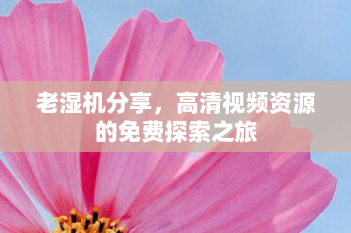 老湿机分享，高清视频资源的免费探索之旅