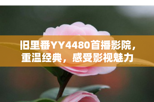 旧里番YY4480首播影院，重温经典，感受影视魅力