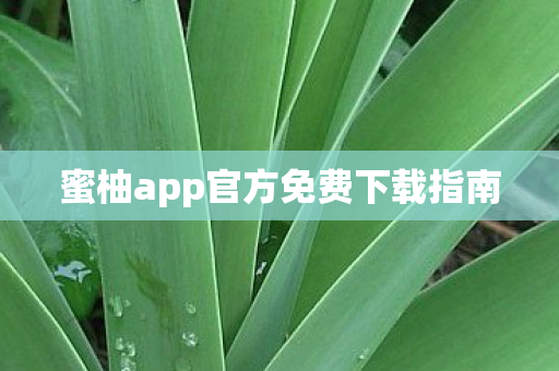 蜜柚app官方免费下载指南