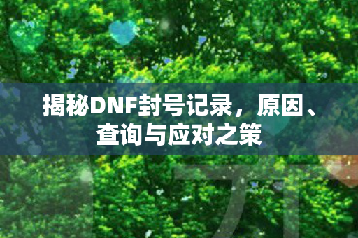 揭秘DNF封号记录，原因、查询与应对之策