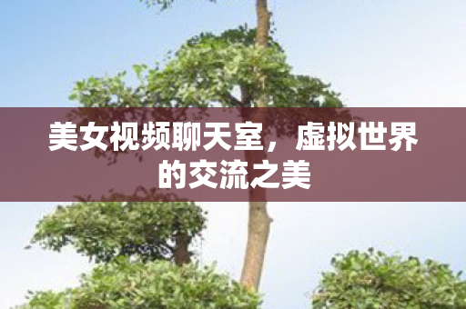 美女视频聊天室，虚拟世界的交流之美