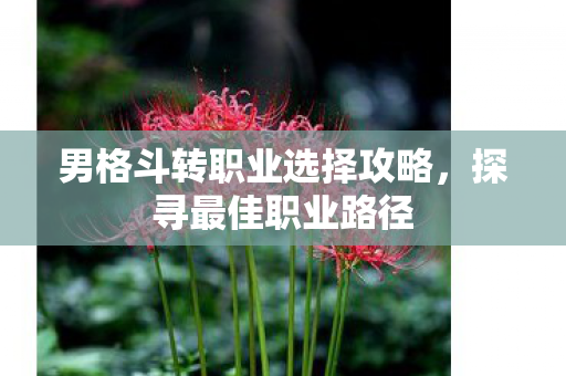 男格斗转职业选择攻略，探寻最佳职业路径