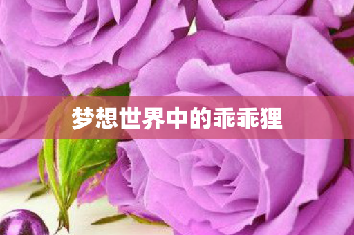 梦想世界中的乖乖狸