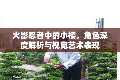 火影忍者中的小樱，角色深度解析与视觉艺术表现