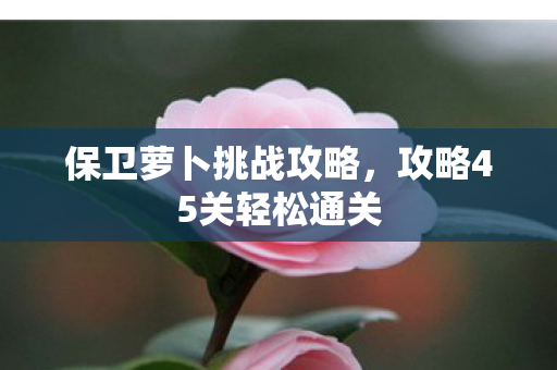 保卫萝卜挑战攻略，攻略45关轻松通关