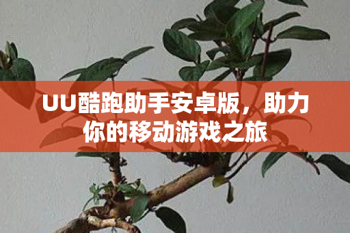 UU酷跑助手安卓版，助力你的移动游戏之旅