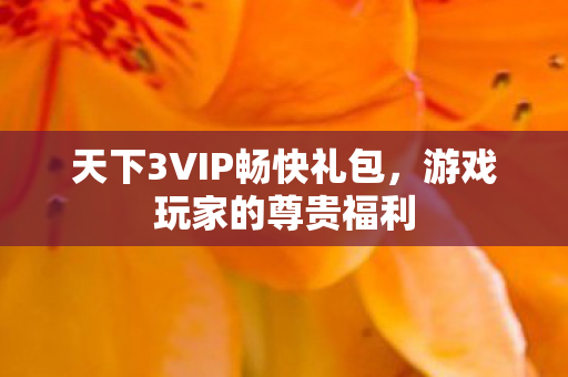 天下3VIP畅快礼包，游戏玩家的尊贵福利