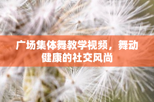 广场集体舞教学视频，舞动健康的社交风尚