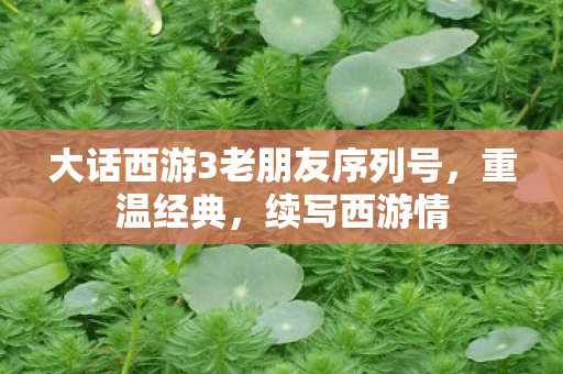 大话西游3老朋友序列号，重温经典，续写西游情