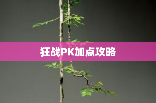 狂战PK加点攻略