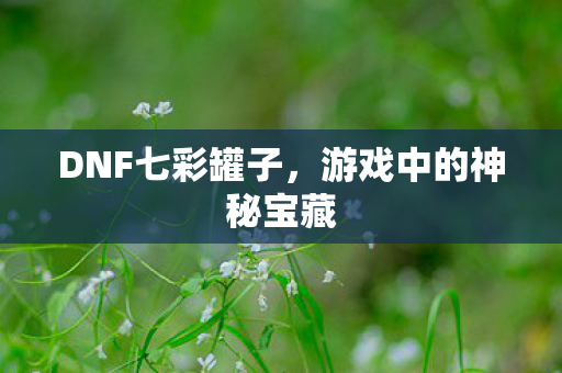 DNF七彩罐子，游戏中的神秘宝藏