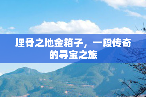 埋骨之地金箱子，一段传奇的寻宝之旅