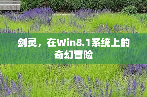 剑灵，在Win8.1系统上的奇幻冒险