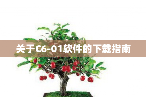 关于C6-01软件的下载指南