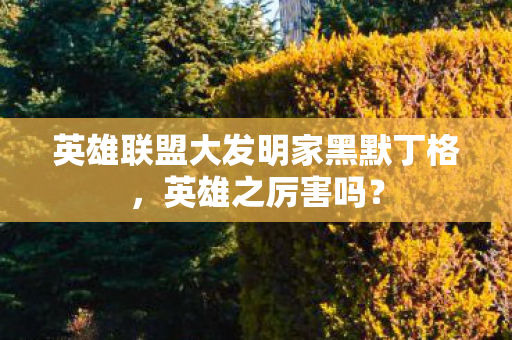 英雄联盟大发明家黑默丁格，英雄之厉害吗？