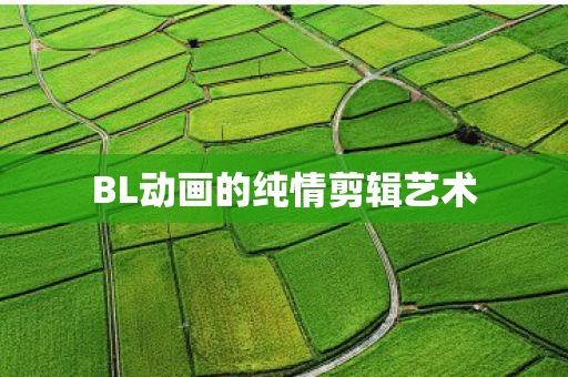 BL动画的纯情剪辑艺术