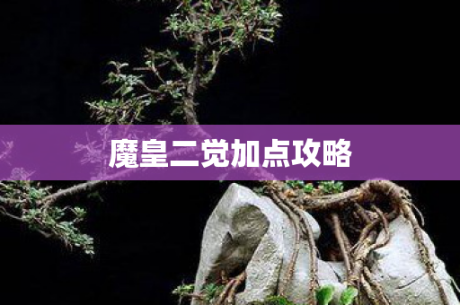 魔皇二觉加点攻略