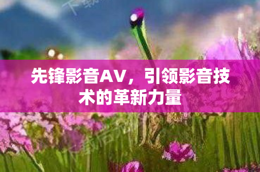先锋影音AV，引领影音技术的革新力量