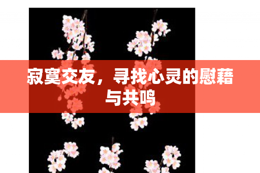 寂寞交友，寻找心灵的慰藉与共鸣