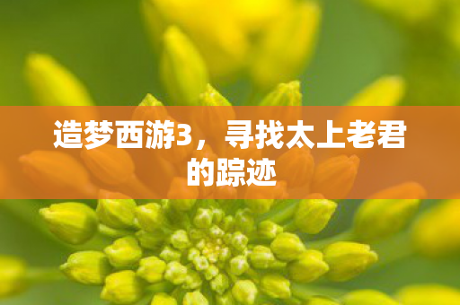 造梦西游3，寻找太上老君的踪迹