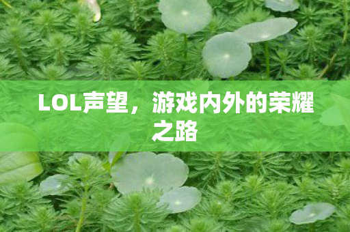 LOL声望，游戏内外的荣耀之路