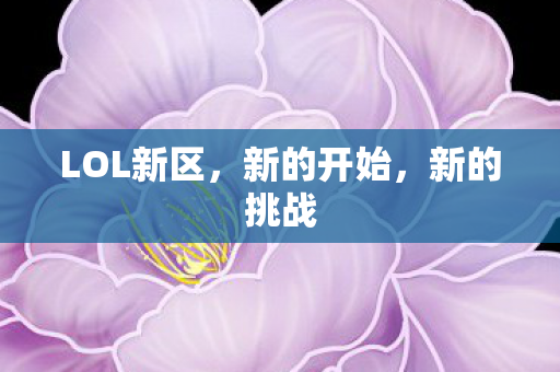 LOL新区,新的开始,新的挑战 LOL新区,新的开始,新的挑战