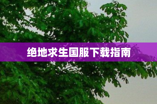 绝地求生国服下载指南 绝地求生国服下载指南